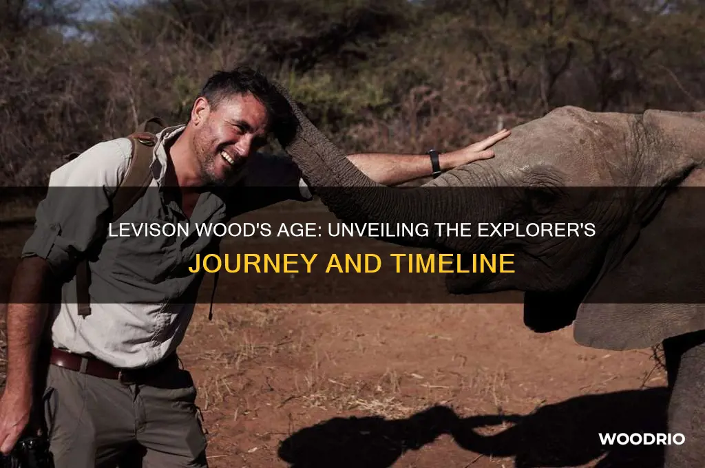 how old is levison wood