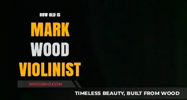 Unveiling Mark Wood's Age: The Renowned Electric Violinist's Journey