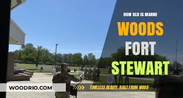 Exploring Marne Woods Fort Stewart's Age and Historical Significance