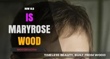 Maryrose Wood's Age: Unveiling the Mystery Behind the Author's Years