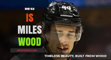 Miles Wood's Age: Unveiling the NHL Star's Birth Year and Career