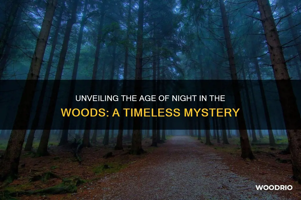 how old is night in the woods