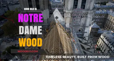 Unveiling Notre Dame's Ancient Wood: A Journey Through Time