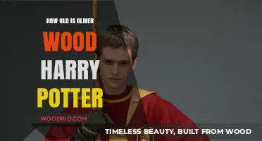 Oliver Wood's Age in Harry Potter: Unveiling the Quidditch Captain's Timeline