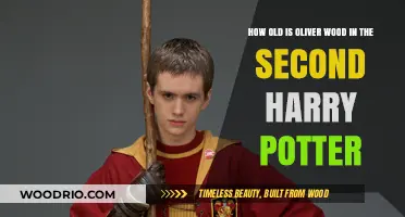 Oliver Wood's Age in Harry Potter's Second Year Revealed