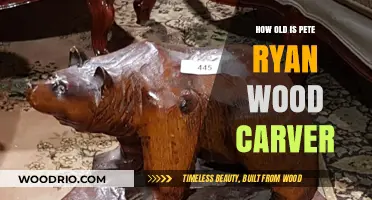 Pete Ryan's Age: Unveiling the Master Wood Carver's Timeless Journey