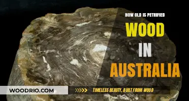 Unveiling Australia's Ancient Petrified Wood: Age and Origins Explored