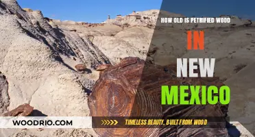 Unveiling the Ancient Age of New Mexico's Petrified Wood
