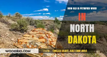 Uncovering North Dakota's Petrified Wood: Age and Ancient Secrets