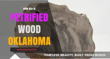 Oklahoma's Petrified Wood: Unveiling the Ancient Age of Fossilized Trees