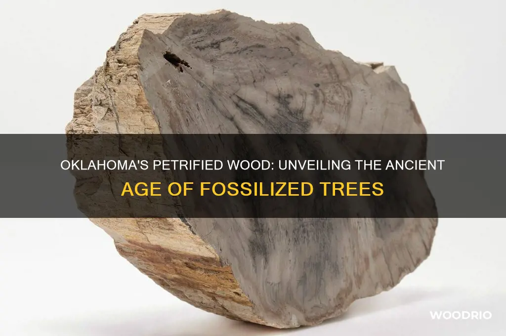 how old is petrified wood oklahoma