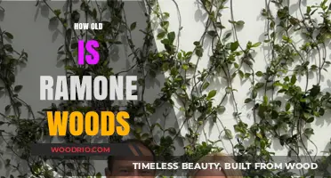 Unveiling Ramone Woods' Age: A Comprehensive Look at His Life