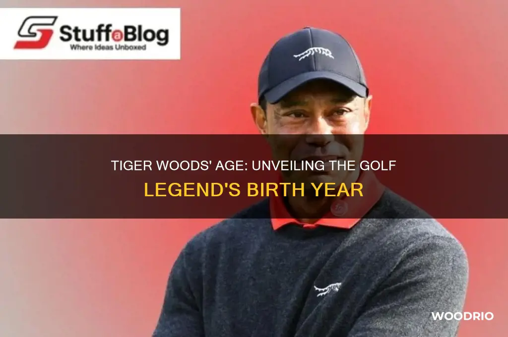 how old is riger woods