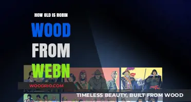 Discovering Robin Wood's Age: A Webn Mystery Unveiled