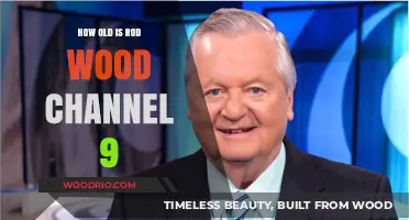 Rod Wood's Age: Unveiling Channel 9 Anchor's Journey and Legacy