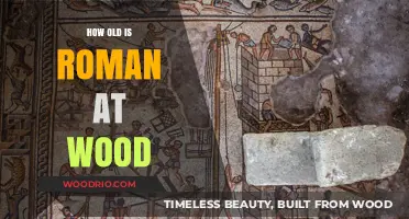 Unveiling Roman at Wood's Age: A Surprising Discovery