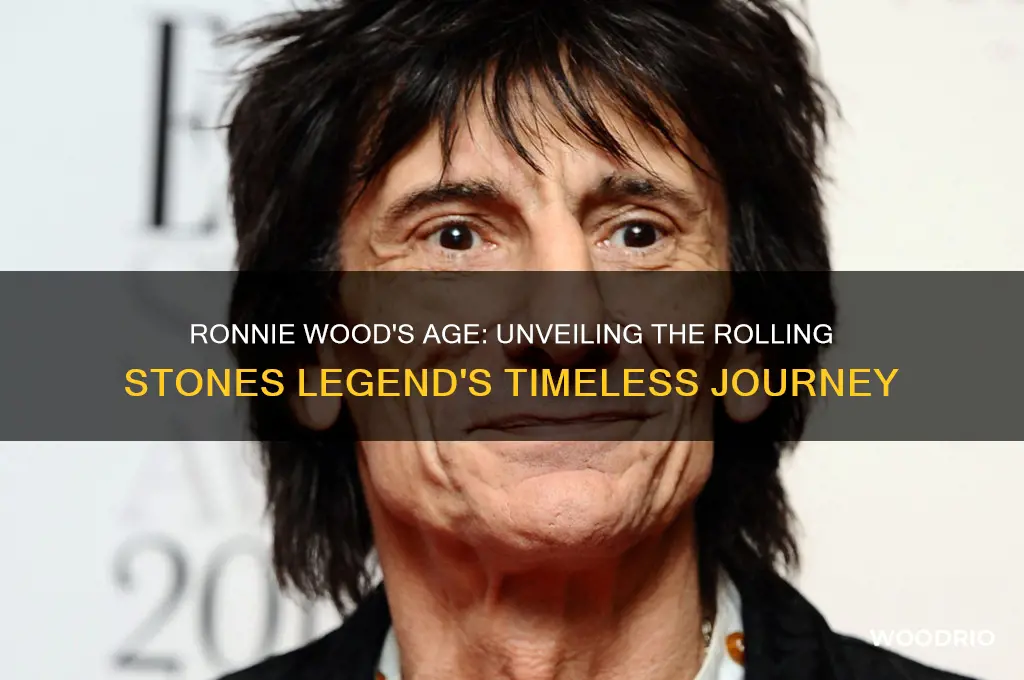 how old is ronnie wood from the rolling stones