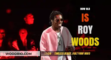 Unveiling Roy Woods' Age: A Journey Through His Musical Career