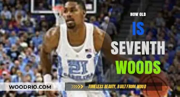 Seventh Woods' Age: Unveiling the Basketball Star's Birth Year