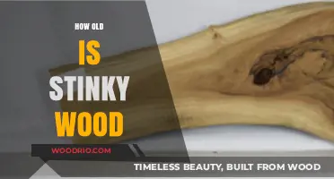 Unveiling the Age of Stinky Wood: A Comprehensive Guide