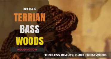 Terrian Bass Woods Age: Unveiling the Mystery Behind Her Years