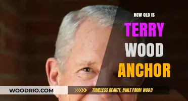 Terry Wood Anchor's Age: Unveiling the Mystery Behind the News Personality