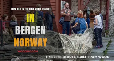 Unveiling the Age of Bergen's Iconic Fish Wood Statue