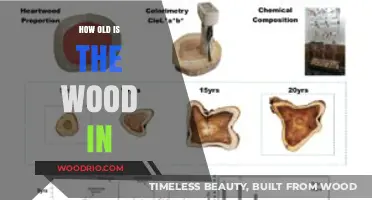 Unveiling the Age-Old Mystery: How Old is the Wood In?