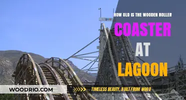 Lagoon's Wooden Roller Coaster: Unveiling Its Age and History