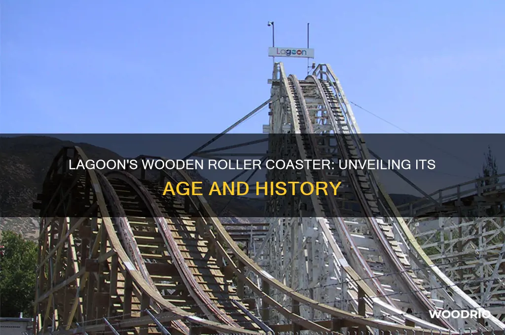 how old is the wooden roller coaster at lagoon