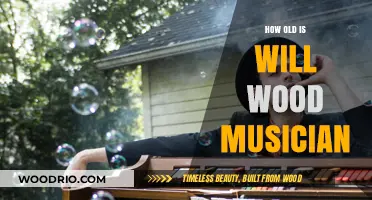 Exploring Will Wood's Musical Journey: A Timeline of His Career