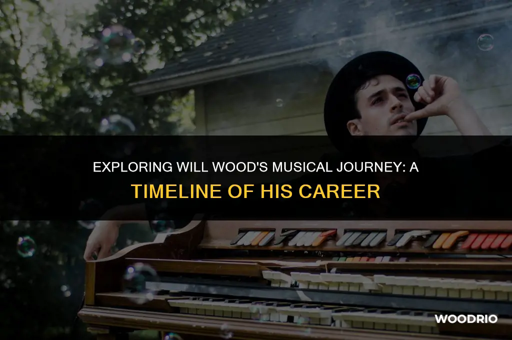 how old is will wood musician