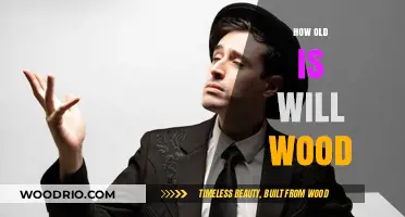 Exploring the Age Enigma of Will Wood: A Timeless Talent