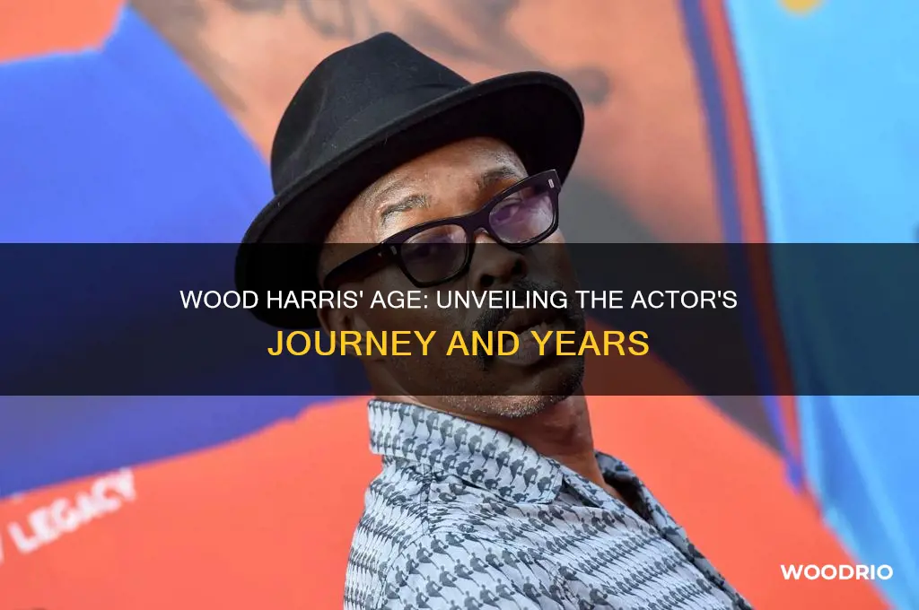 how old is wood harris