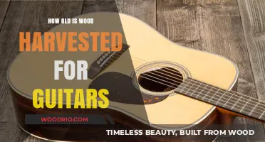 Aging Wood for Guitars: Harvest Age and Tone Quality Explained