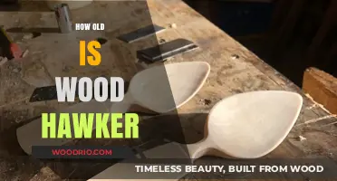 Unveiling Wood Hawker's Age: A Comprehensive Exploration of His Life