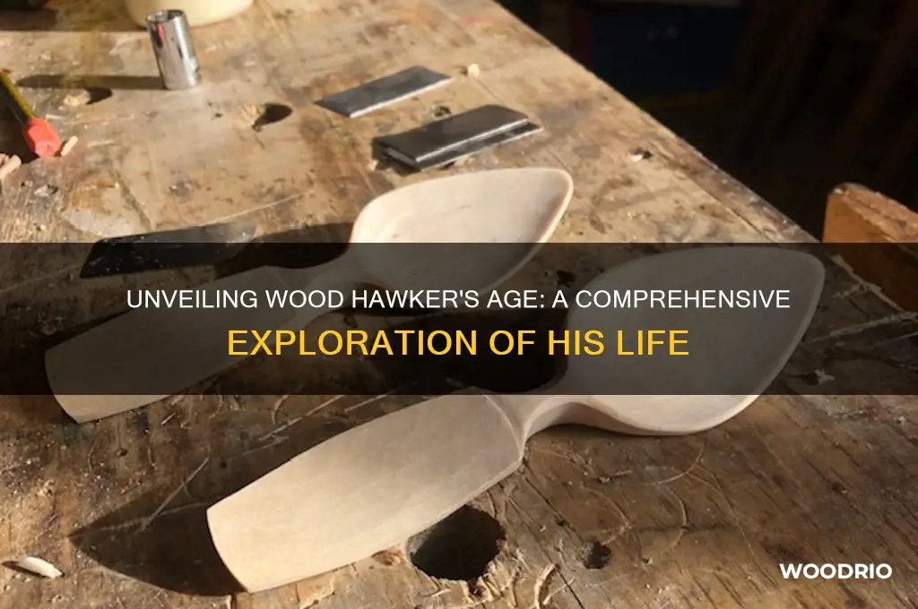 how old is wood hawker