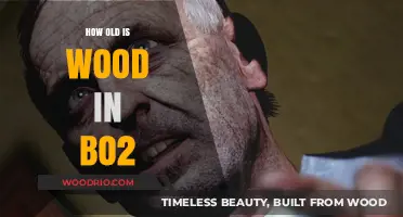 Unveiling the Age of Wood in Call of Duty: Black Ops 2