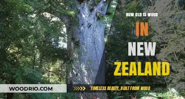 Exploring New Zealand's Ancient Forests: Unveiling the Age of Native Wood