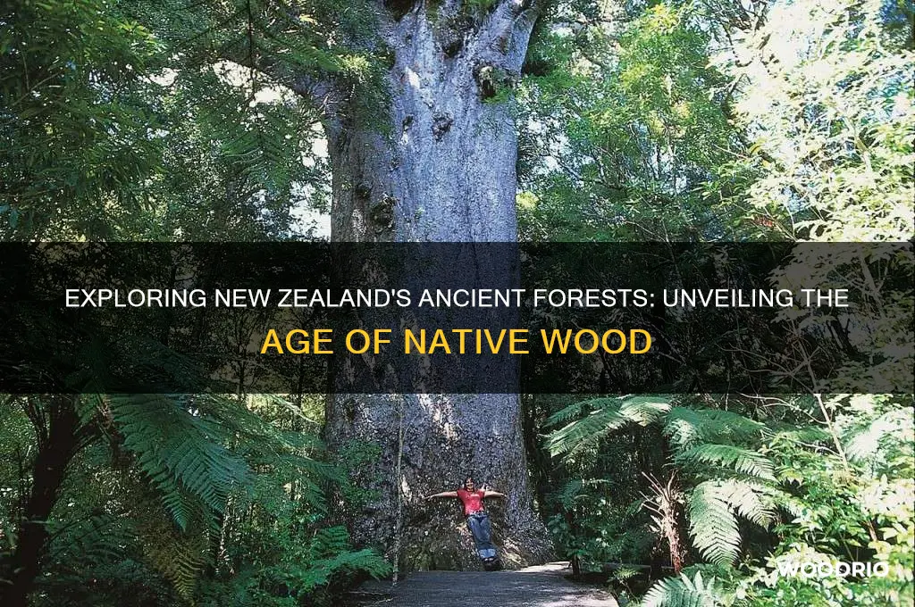 how old is wood in new zealand