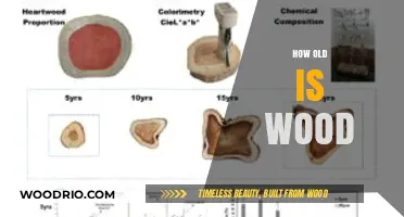 Unveiling the Age of Wood: Techniques and Secrets Behind Its Timelessness