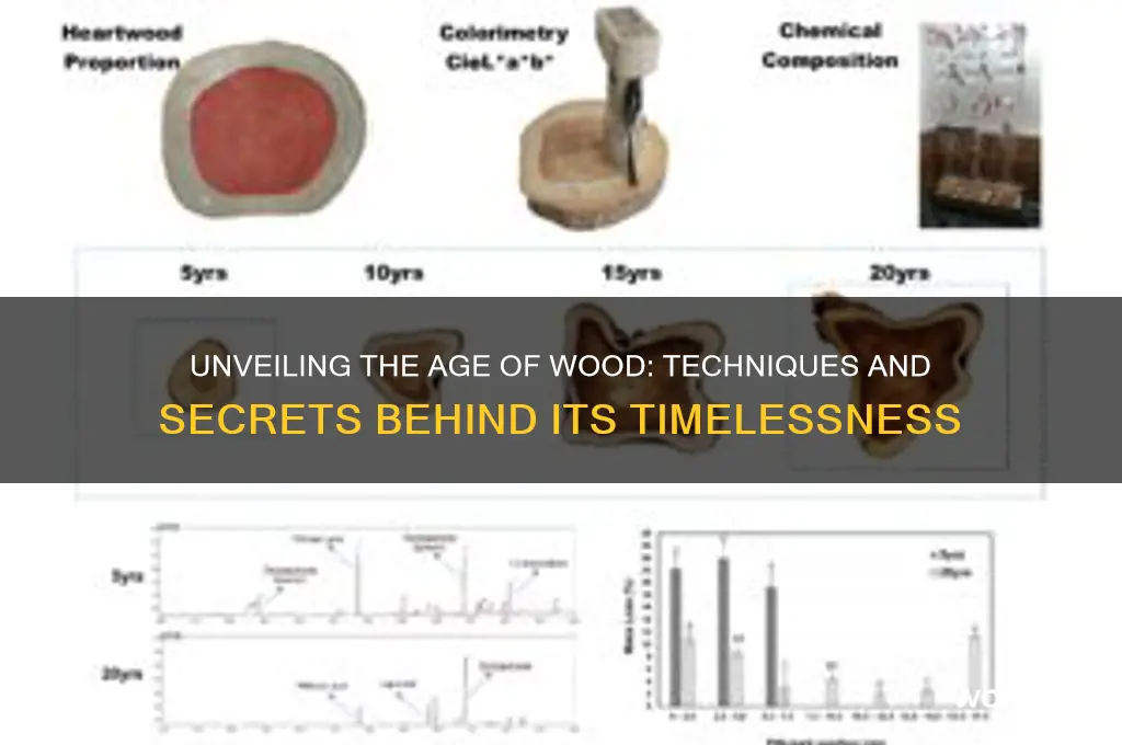 how old is wood