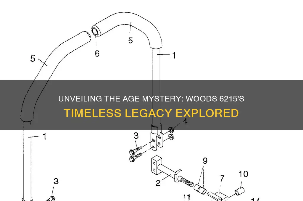 how old is woods 6215