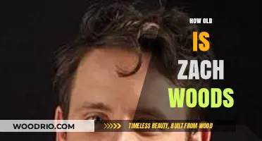 Zach Woods' Age: Unveiling the Actor's Surprising Birth Year
