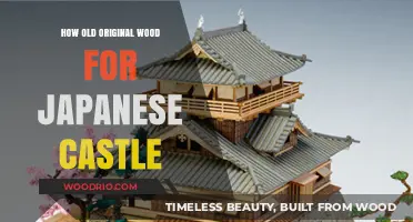 Unveiling the Ancient Timbers: Japan's Castles and Their Original Wood