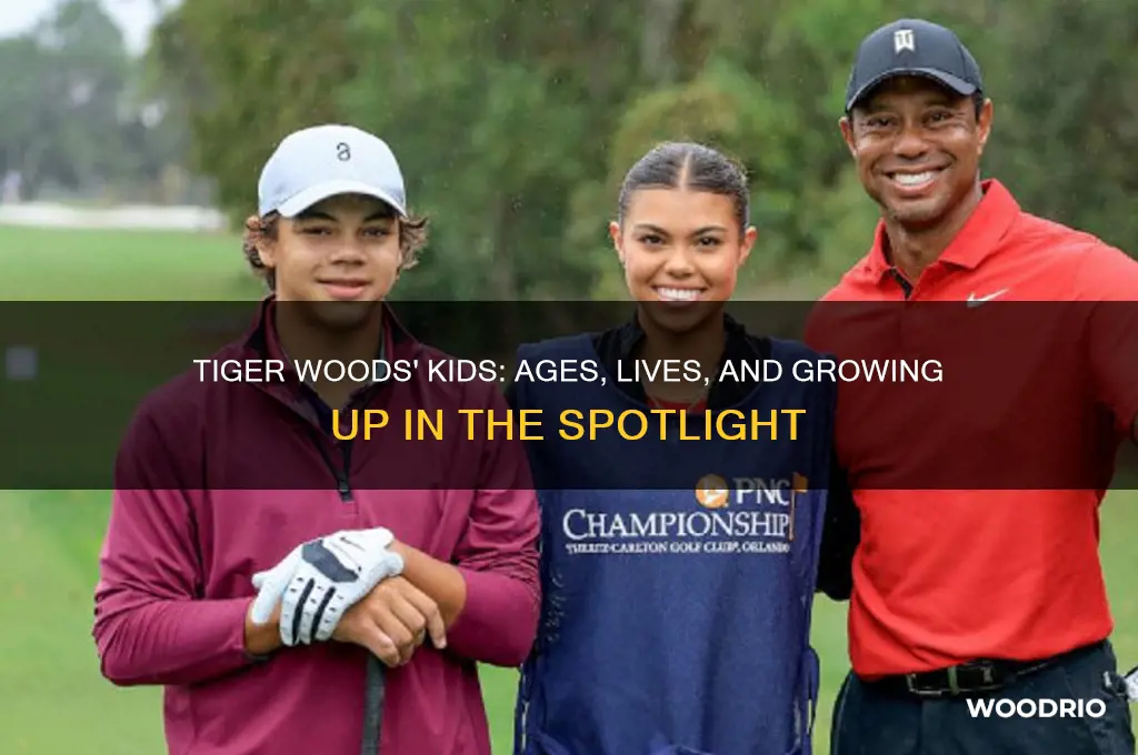 how old tigers woods kids