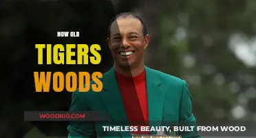 Tiger Woods' Age: Unveiling the Golf Legend's Timeless Journey