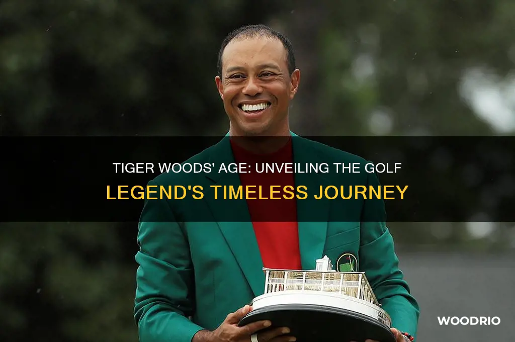 how old tigers woods