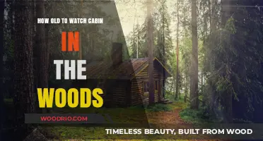 Cabin in the Woods: Appropriate Age for This Horror Flick