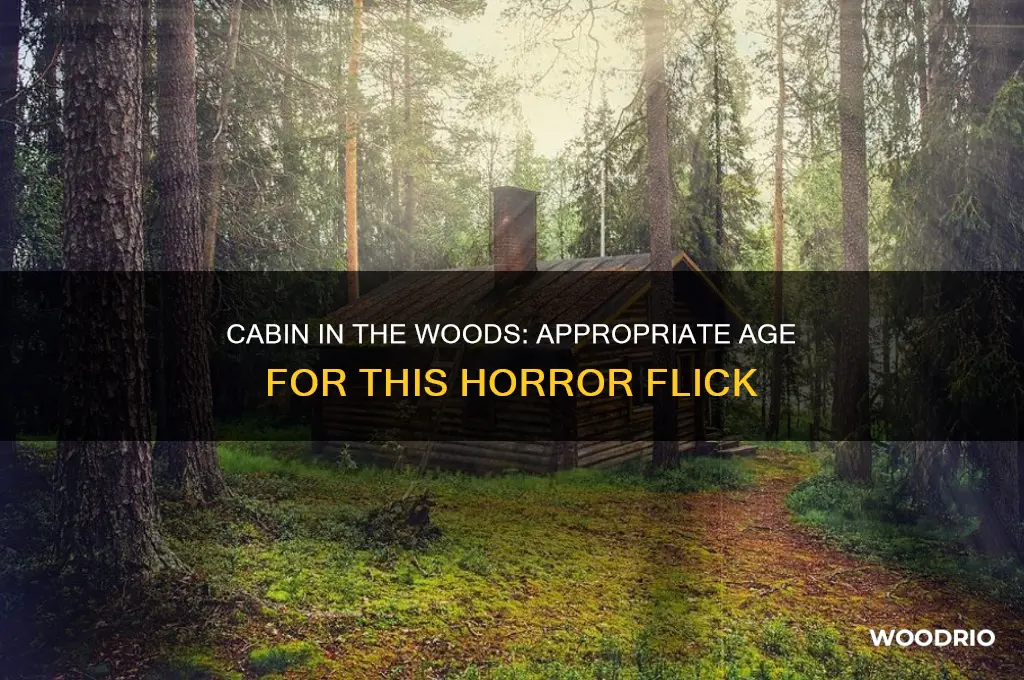 how old to watch cabin in the woods